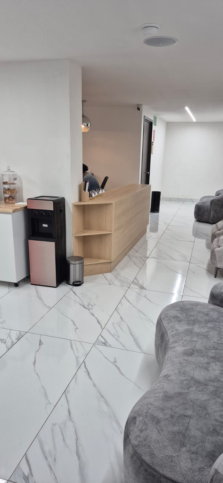 Recepción vista desde el pasillo fabricado a medida por CarpyMobi